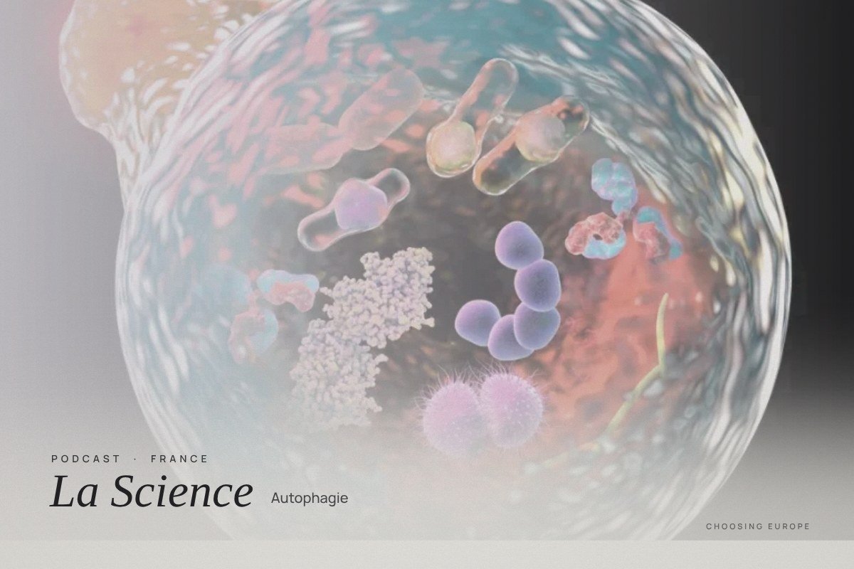 Illustration of a cell for the podcast La Science, episode Autophagie
